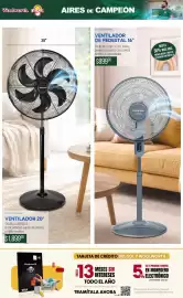Folleto DelSol Página 5