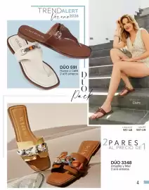 Catálogo Cklass Página 236