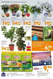 Globus Baumarkt Prospekt Seite 3