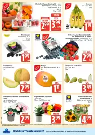 Marktkauf Prospekt Seite 6