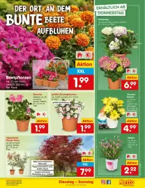 Netto Marken-Discount DE folder week 22 Pagina 9