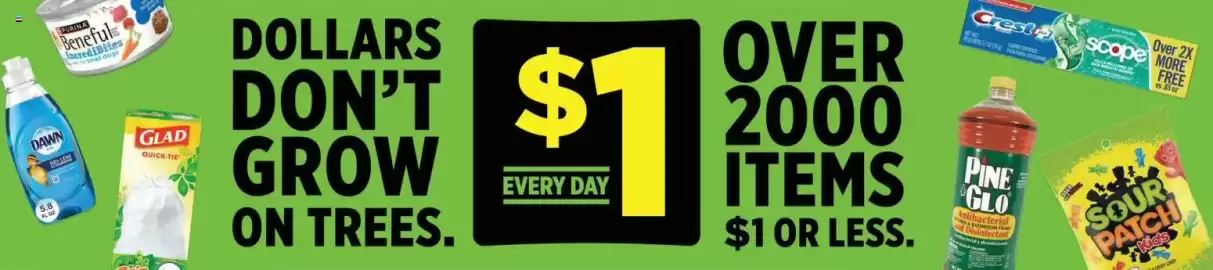 Dollar General weekly ad Page 4