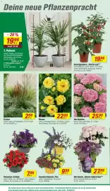 Toom Baumarkt Prospekt woche 22 Seite 8
