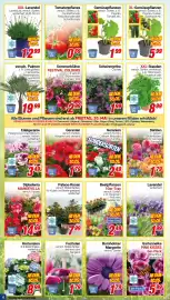 CENTERSHOP Prospekt woche 22 Seite 6