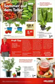 Hellweg Prospekt Seite 19