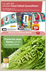 REWE Center Prospekt woche 22 Seite 21