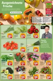 REWE Center Prospekt woche 22 Seite 7