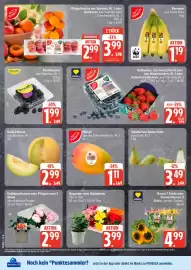 Edeka24 Prospekt woche 22 Seite 6