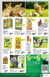 BayWa Bau & Garten Prospekt woche 22 Seite 17