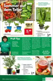 BayWa Bau & Garten Prospekt woche 22 Seite 19