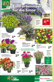 BayWa Bau & Garten Prospekt woche 22 Seite 20