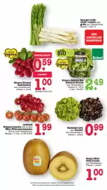 Scheck-in-Center Prospekt woche 22 Seite 24
