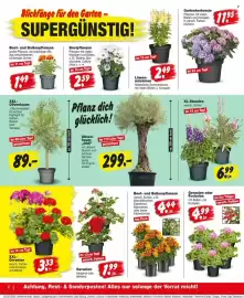 Repo Markt Prospekt Seite 2
