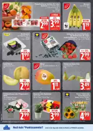 E Reichelt Prospekt woche 22 Seite 6