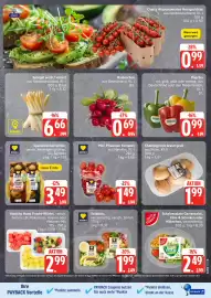 E Reichelt Prospekt woche 22 Seite 8