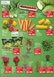 Kaufland leták týden 22 Strana 11