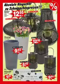 Krümet Sonderposten Prospekt woche 22 Seite 3