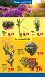 Lidl folder week 23 Pagina 17