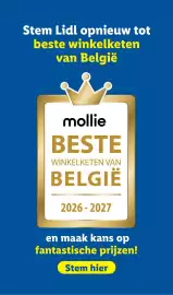 Lidl folder week 23 Pagina 22