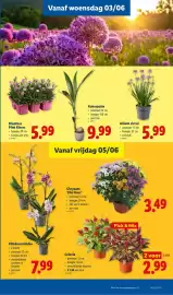 Lidl folder week 23 Pagina 23