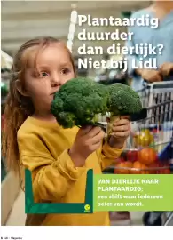 Lidl folder Pagina 6