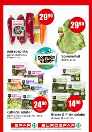 Spar kundeavis Side 4