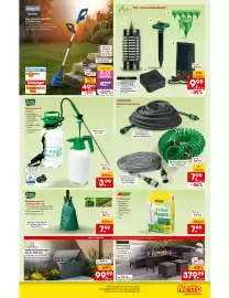 Netto City Prospekt woche 22 Seite 37