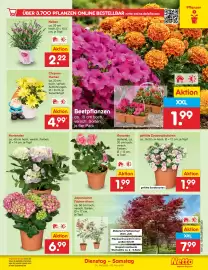 Netto City Prospekt woche 22 Seite 9