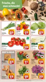 REWE PETZ Prospekt woche 22 Seite 7