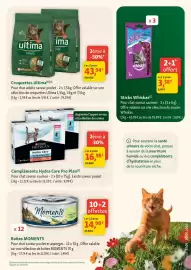 Catalogue Maxi Zoo semaine 22 page 11