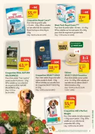 Catalogue Maxi Zoo semaine 22 page 5