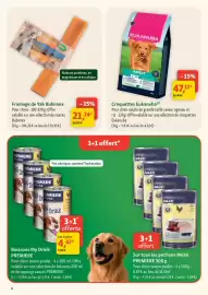 Catalogue Maxi Zoo semaine 22 page 6