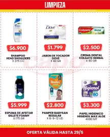 Catálogo Autoservicio Capo semana 21 Página 3