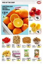IGA catalogue week 22 Page 8