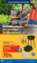 Lidl gazetka tydzień 23 Strona 22