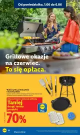 Lidl gazetka tydzień 23 Strona 22