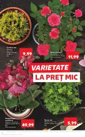 Catalog Kaufland săptămâna 22 Pagină 8