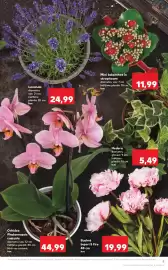 Catalog Kaufland săptămâna 22 Pagină 9