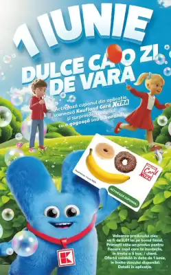 Kaufland (valid până la 2-06)