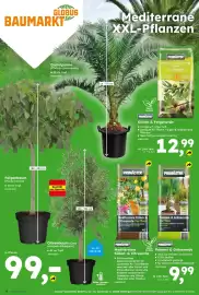 Globus Baumarkt Prospekt Seite 17