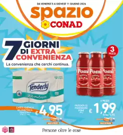 Volantino Spazio Conad Pagina 28