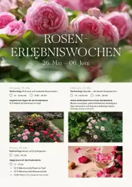 Pflanzen Kölle Prospekt woche 22 Seite 4
