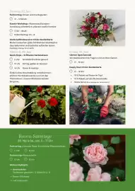 Pflanzen Kölle Prospekt woche 22 Seite 5