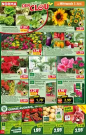 Norma Prospekt woche 23 Seite 14