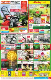 Norma Prospekt woche 23 Seite 3