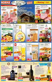 Norma Prospekt woche 23 Seite 9