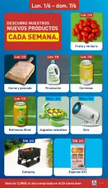 Folleto ALDI semana 23 Página 3