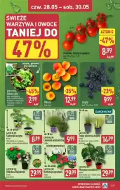 ALDI gazetka tydzień 22 Strona 29
