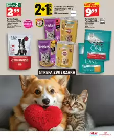 Topaz Express gazetka tydzień 22 Strona 19