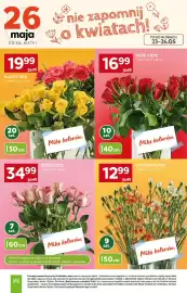 Stokrotka gazetka Strona 6